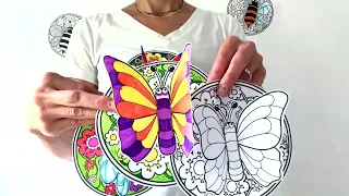 3D insects