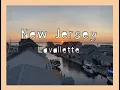 Lavallette New Jersey