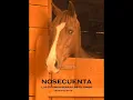 NOSECUENTA INTRO ELEFANTES (feat Derechos Reservados)