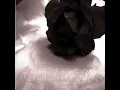 Caroline's Lullaby