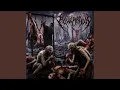 Download Lagu Bacterium Decomposition
