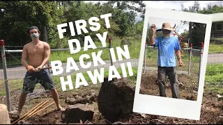 first day back in hawaii walk through the rainforest andre brouillette