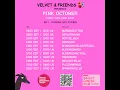 DJ Platinum Velvet \u0026 Friends Pink October Charity Raid Train - House 16 October 2025