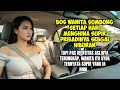 Lagu BIKIN SYOK! Sopir pribadi pria yang selalu diremehkan bos cantik ternyata CEO muda menyamar!