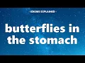 Useful Idioms 3 Butterflies in the stomach