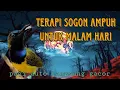 Terapi malam paling ampuh sogon gacor 🔥🔥