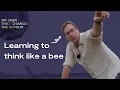 The behavioural ecologist studying how bees learn - 101 Jobs That Change the World Ep 22