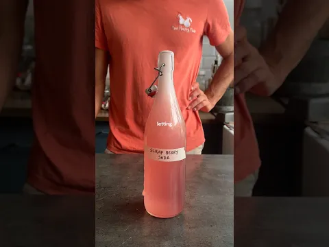BERRY SCRAP SODA! This is a delicious way to give fruit that’s past its best a second life!