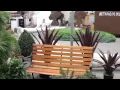 HWP Client Spotlight Treescapes International