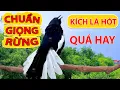 Lagu Chòe Than Mồi Hót - Chòe Than Hót Chuẩn GIỌNG NÚI RỪNG - Luyện Choè than HÓT HAY - choe than