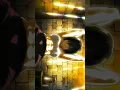 Download Lagu [Mikasa Ackerman fitness] her next level abs #mikasa #attackontitan #fyp #fitness