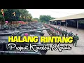 Lagu HALANG RINTANG KAVALERI MARINIR