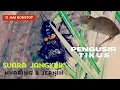 Download Lagu Suara Jangkrik Jaliteng Pengusir Tikus