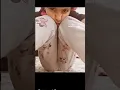 Download Lagu Gadis Kecil dengan kakek #cantik #remaja #trendingshorts #viral #videoviral #tiktok #celana pendek