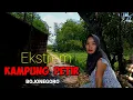 Download Lagu VIRAL_Rumah Petir Pohon Randu Kuno di Kampung Fenomena alam Dayun Margomulyo Bojonegoro.