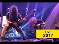 Download Lagu Edane - Rock in 82 Live
