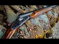 CZ Ringneck - Modern Elegance