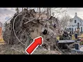 Download Lagu A shocking find in stump in a cemetery