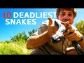 Top Ten Killer Snakes In The World With Steve Irwin