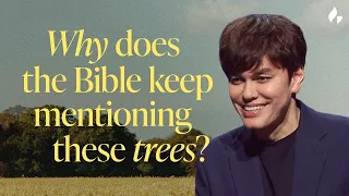 5 Mentions Of Trees In the Bible You Might Not Have Heard Before | Bible Study with Joseph Prince