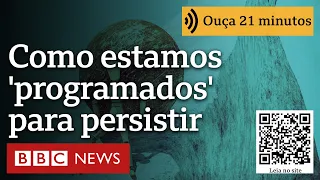 Como estamos 'programados' para persistir e por que, às vezes, é heroico desistir