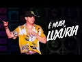 Download Lagu Natanzinho Lima - É muita luxúria / Eu invisto no prazer (Música Nova)