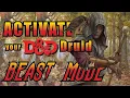 5 Best D D Feats for a Circle of the Moon Druid