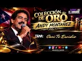 ❤️ Andy Montañez – Casi Te Envidio | Colección De Oro 🏆 | DJ David El Grande
