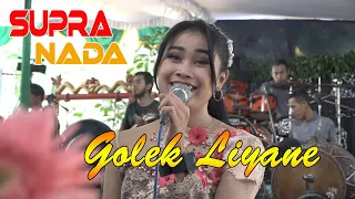 Download GOLEK LIYANE - Cover VERRO - SUPRA NADA Campursari MP3