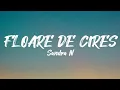 Sandra N - Floare de cireș | Versuri | Official Video