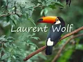 Laurent Wolf _ feel my drums.wmv
