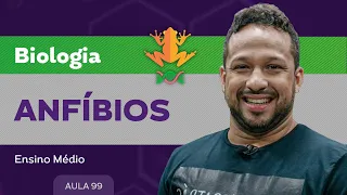 Anfíbios​ - Biologia - Ensino Médio
