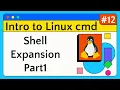 Shell Expansion Part 1 Braces Tilde Variables - Introduction to Linux Command Line