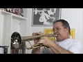 Handy Man @aldinhotrompete interpreta cover de James Taylor