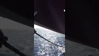 #sailing #oceansailing