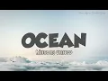 Oceans - Hillsong UNITED (Lyrics)