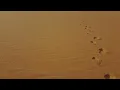 陳勢安 Andrew Tan - 終身門徒 Eternal Prayer MV Teaser