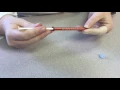 Dispensing 0 1ml from a 1ml syringe