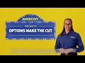 Installment Cash Advance - Options Make the Cut English
