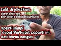 Download Lagu Mikat BURUNG PERKUTUT LOKAL incaran di belakang rumah warga malah dapatnya yang seperti ini