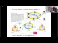Geospatial Data for Healthy Places MtG