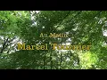 Etude de Concert (Au Matin) - Marcel Tournier // played by Michelle Sweegers