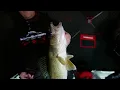 In-Depth Outdoors on Location - Saginaw Bay