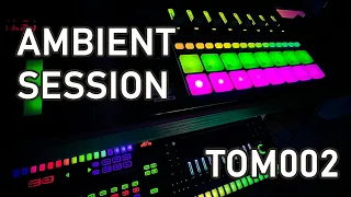 Download Tom of Lahti - Helsinki Ambient Session (TOM002) MP3