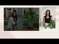 Garden Reflections Illuminated Iron Plant Stand Column on QVC