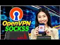 How to Set Up a SOCKS5 Server on OpenVPN