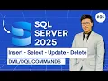 DML DQL Commands INSERT SELECT UPDATE DELETE SQL Server 2025
