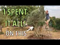 I Spent My YouTube Money on THIS Rare Olive Tree Reveal