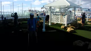 Ong golfing on the Allure 1