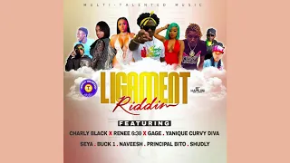 Ligament Riddim Mix (2019) Charly Black,Yanique Curvy Diva,Gage \u0026 More (Multi Talented Music)